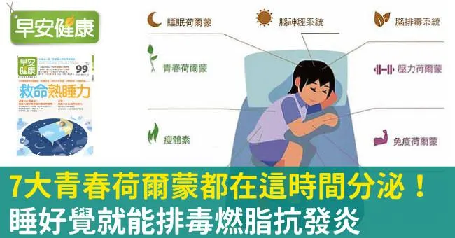 7大青春荷爾蒙都在這時間分泌！睡好覺就能排毒燃脂抗發炎
