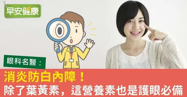 消炎防白內障！除了葉黃素，這營養素也是護眼必備