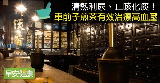清熱利尿、止咳化痰！車前子煎茶有效治療高血壓