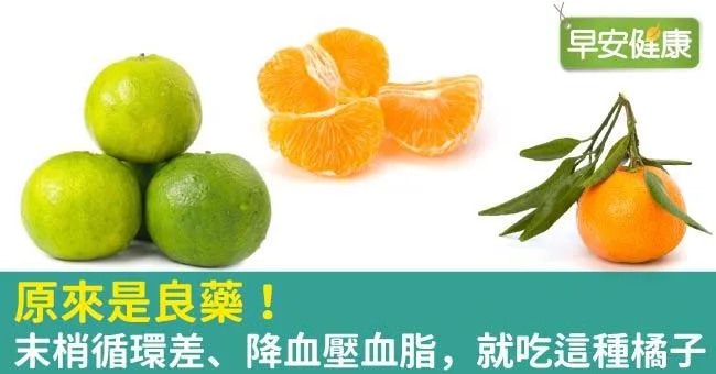 原來是良藥！末梢循環差、降血壓血脂，就吃這種橘子