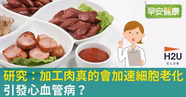 研究：加工肉真的會加速細胞老化、引發心血管病？