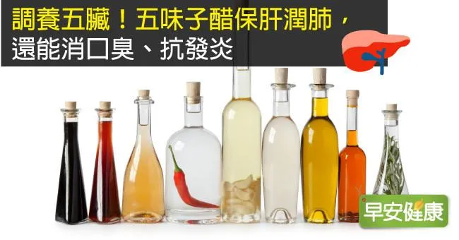 調養五臟！五味子醋保肝潤肺，還能消口臭、抗發炎