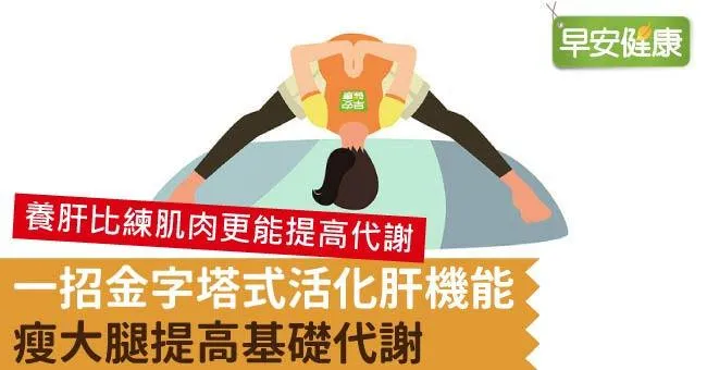 一招金字塔式活化肝機能，瘦大腿提高基礎代謝