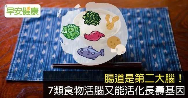 腸道是第二大腦！7類食物活腦又能活化長壽基因
