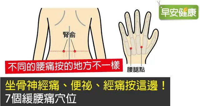 坐骨神經痛、便祕、經痛按這邊！7個緩腰痛穴位
