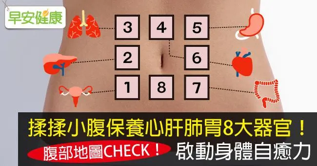 揉揉小腹保養心肝肺胃8大器官！啟動身體自癒力