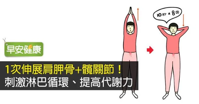 1次伸展肩胛骨+髖關節！刺激淋巴循環、提高代謝力
