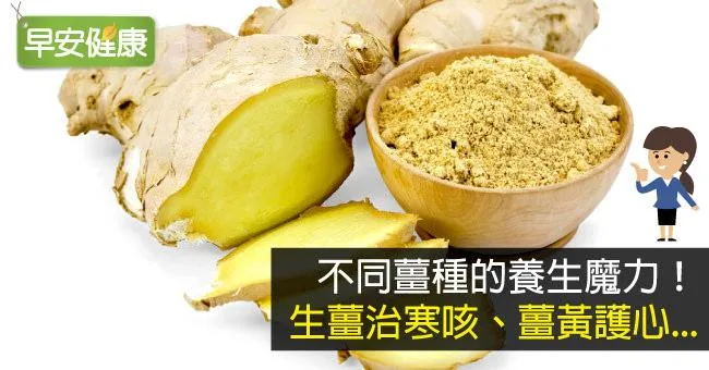 不同薑種的養生魔力！生薑治寒咳、薑黃護心...