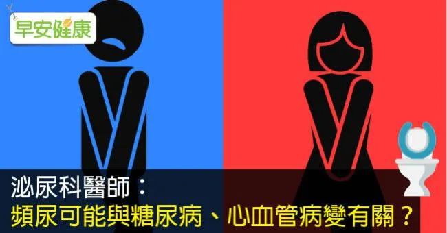 女性頻尿、夜尿、排尿困難的原因