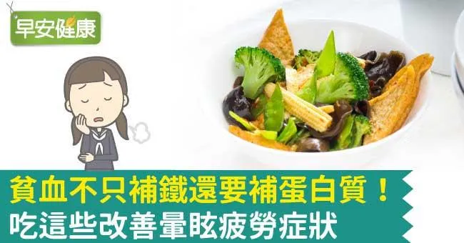 貧血不只補鐵還要補蛋白質！吃這些改善暈眩疲勞症狀