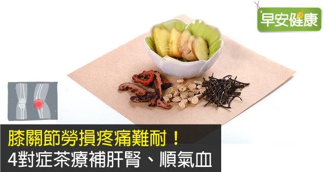 膝關節勞損疼痛難耐！4對症茶療補肝腎、順氣血