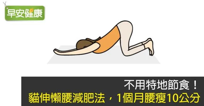 不用特地節食！貓伸懶腰減肥法，1個月腰瘦10公分