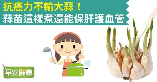 抗癌力不輸大蒜！蒜苗這樣煮還能保肝護血管