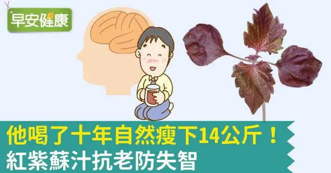 他喝了十年自然瘦下14公斤！紅紫蘇汁抗老防失智