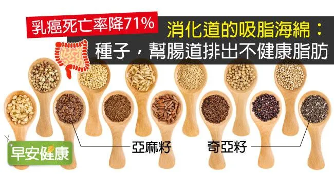 消化道的吸脂海綿：種子，幫腸道排出不健康脂肪