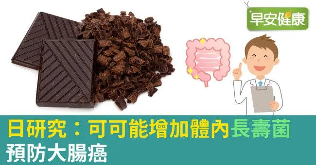 日研究：可可能增加體內「長壽菌」，預防大腸癌
