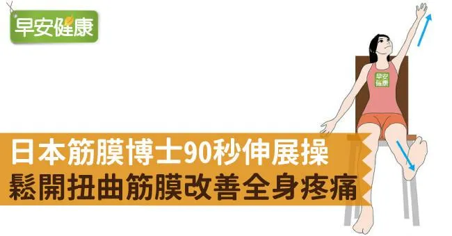 日本筋膜博士90秒伸展操，鬆開扭曲筋膜改善全身疼痛