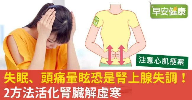 失眠、頭痛暈眩恐是腎上腺失調！2方法活化腎臟解虛寒
