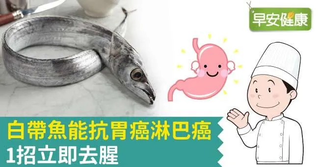 白帶魚能抗胃癌淋巴癌，1招立即去腥