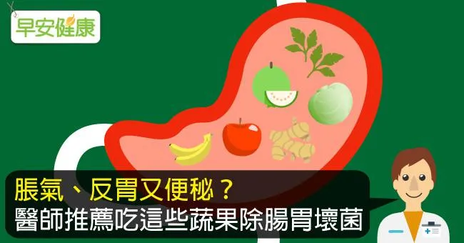 可整腸健胃的食物