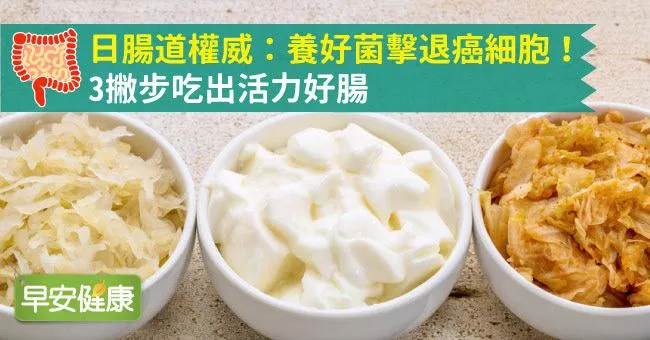 日腸道權威：養好菌擊退癌細胞！3撇步吃出活力好腸