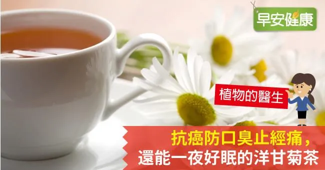 抗癌防口臭止經痛，還能一夜好眠的洋甘菊茶