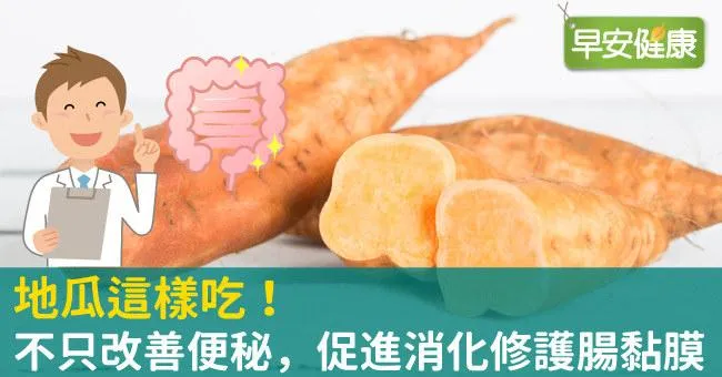 地瓜這樣吃！不只改善便秘，促進消化修護腸黏膜