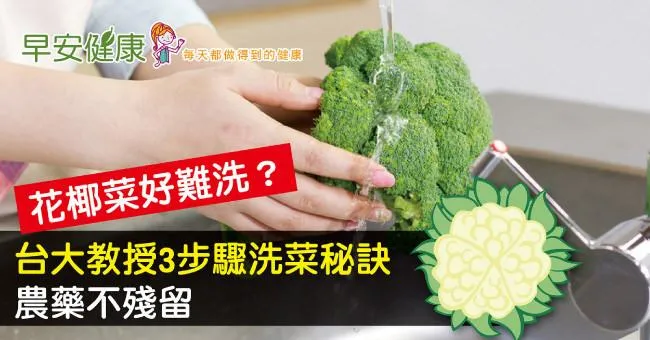 花椰菜好難洗？台大教授3步驟洗菜秘訣，農藥不殘留