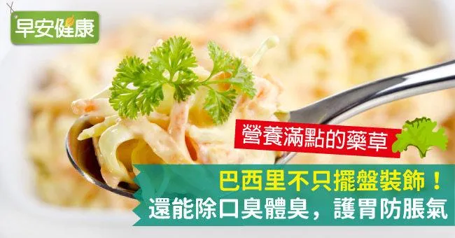 巴西里不只擺盤裝飾！巴西里還能除護胃、防脹氣