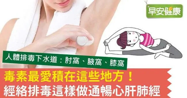 毒素最愛積在這些地方！經絡排毒這樣做通暢心肝肺經