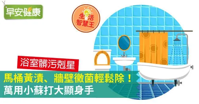 馬桶黃漬、牆壁黴菌輕鬆除！萬用小蘇打大顯身手