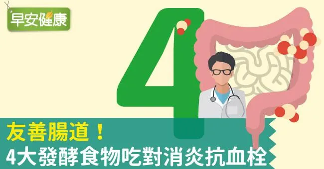 友善腸道！4大發酵食物吃對消炎抗血栓