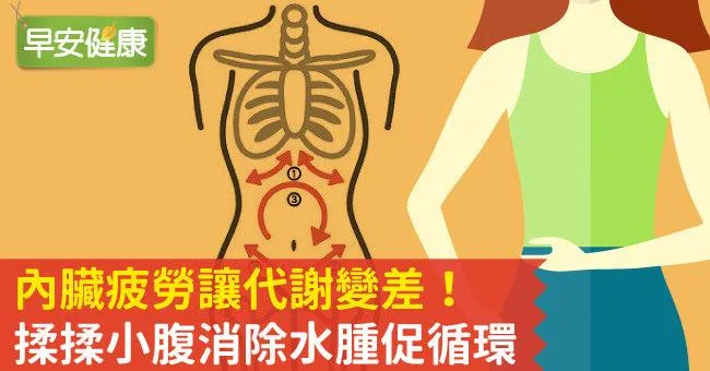 內臟疲勞讓代謝變差！揉揉小腹消除水腫促循環