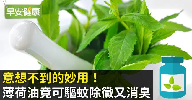 意想不到的妙用！薄荷油竟可驅蚊除黴又消臭