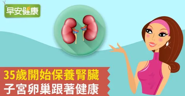 35歲開始保養腎臟，子宮卵巢跟著健康