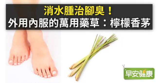 消水腫治腳臭！外用內服的萬用藥草：檸檬香茅