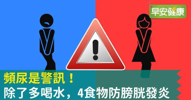 頻尿是警訊！除了多喝水，4食物防膀胱發炎