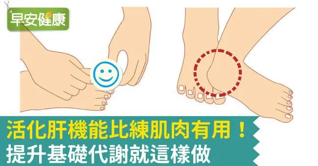 活化肝機能比練肌肉有用！提升基礎代謝就這樣做