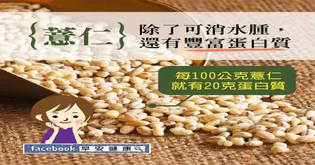 薏仁除了可消水腫，還有豐富蛋白質