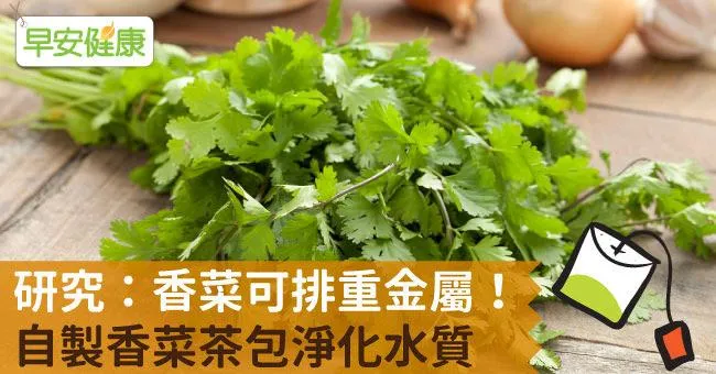 研究：香菜可排重金屬！自製香菜茶包淨化水質