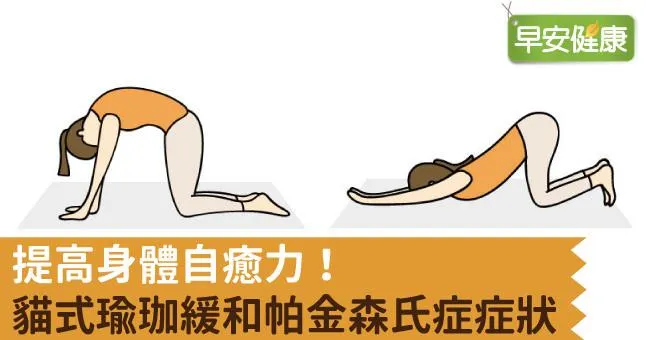 提高身體自癒力！貓式瑜珈緩和帕金森氏症症狀