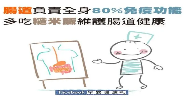 腸道負責全身80％免疫功能，多吃糙米飯維持腸道健康