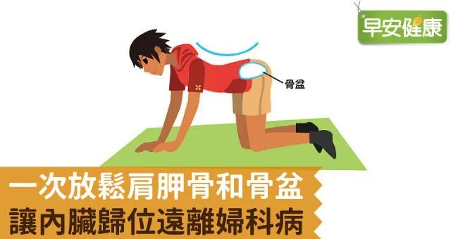 一次放鬆肩胛骨和骨盆，讓內臟歸位遠離婦科病
