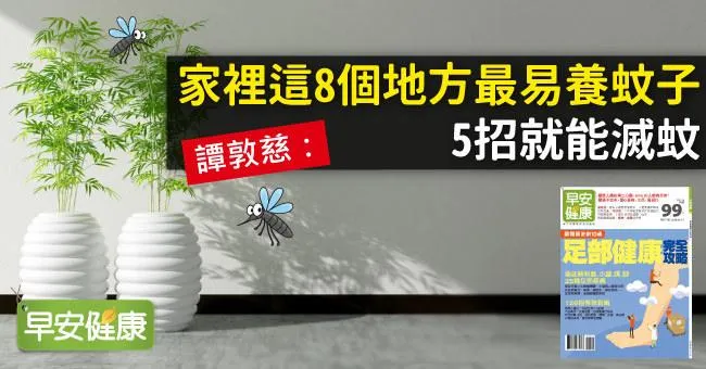 譚敦慈：家裡這8個地方最易養蚊子，5招就能滅蚊
