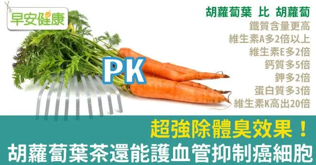 超強除體臭效果！胡蘿蔔葉茶還能護血管抑制癌細胞