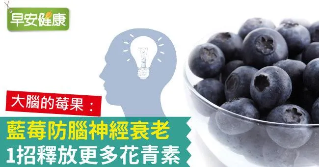 藍莓防腦神經衰老，1招釋放更多花青素
