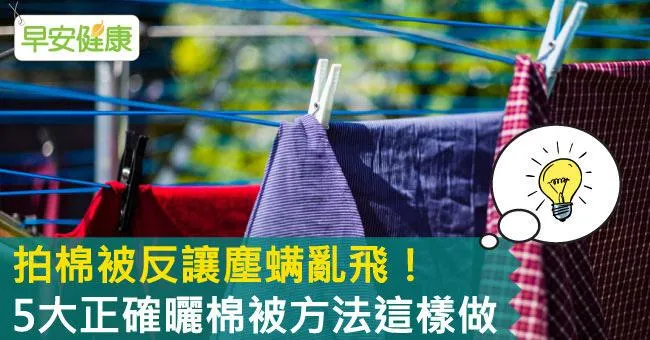 拍棉被反讓塵螨亂飛！5大正確曬棉被方法這樣做