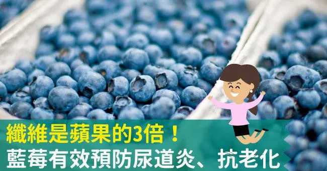 纖維是蘋果的3倍！藍莓有效預防尿道炎、抗老化