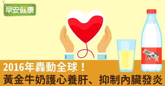 2016年轟動全球！黃金牛奶護心養肝、抑制內臟發炎