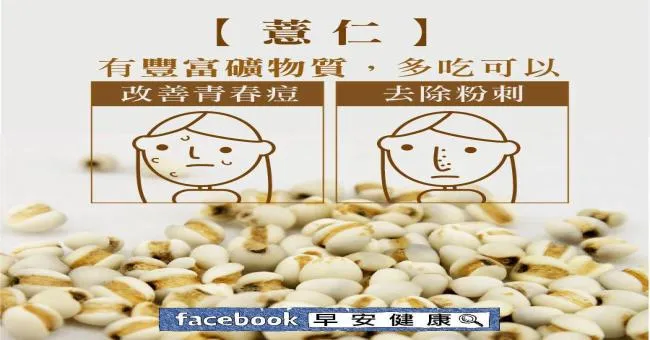 薏仁有豐富礦物質多吃可以改善青春痘、粉刺